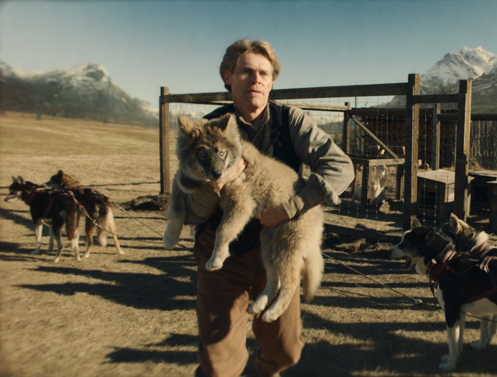 Leonhard Seppala (Willem Dafoe) trying to quarantine TOGO, the mischievous sled god from TOGO movie.  